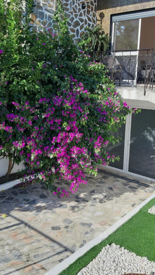 Colina Guesthouse - בראגה מראה חיצוני תמונה