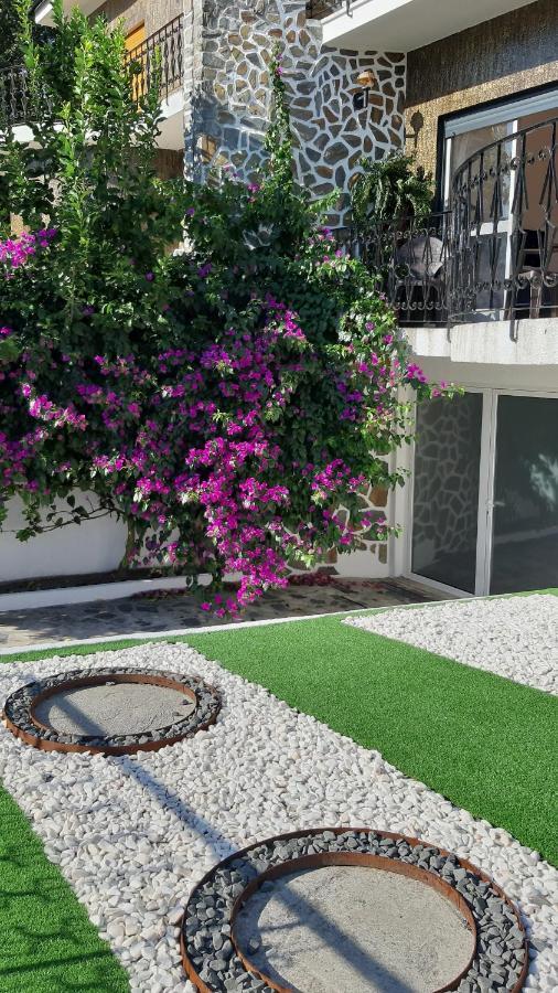 Colina Guesthouse - בראגה מראה חיצוני תמונה